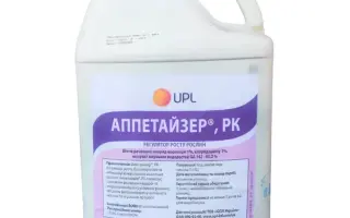 Аппетайзер