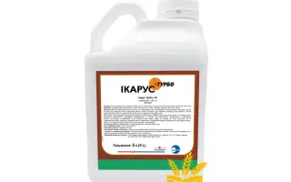 Икарус Турбо