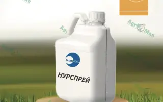 НУРСПРЕЙ