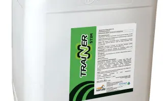 Тренер Стім