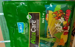 Альга (Альга Кеа/Альга 600/Альга Супер/Альга Fe Плюс)