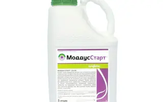 Моддус Старт 250 DС