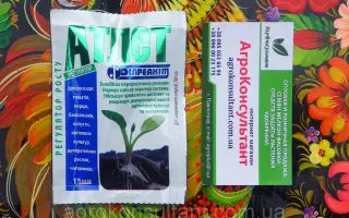 Харвіста 1.3