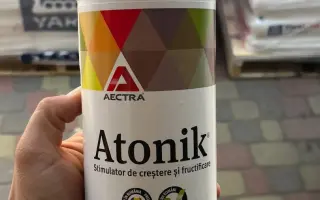 Чорний Яків