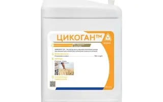 АЙДАМІН-ЦИТО