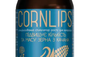 CornLips