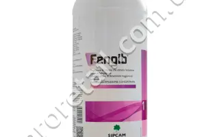 Сільвер Фос