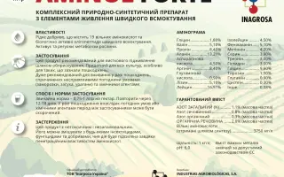 Амінол форте