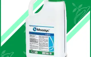 Сосдія Стрес