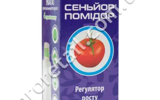 СЕНЬОР ПОМІДОР