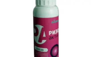 ОПТІМАЙЗ ПУЛЬС