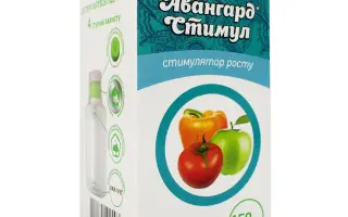 ГУМИСТАР В.Р.