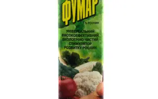 Фумар