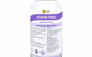 АтонікПлюс