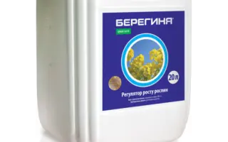 БЕРЕГИНЯ