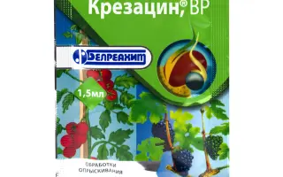 Вітамін в.р.к.