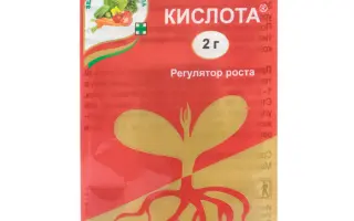 КИСЛОТА ЯНТАРНА, МАРКА В