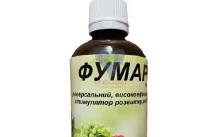 ФУМАР