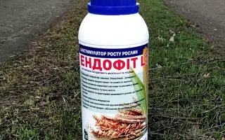 ЕНДОФІТ – L1