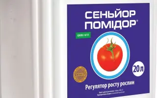 CЕНЬЙОР ПОМІДОР