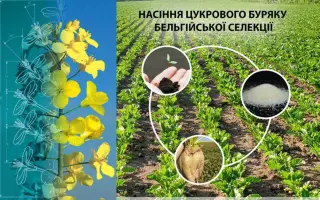 СИЗАМ–НАНО