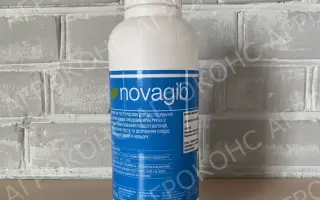 НОВАГІБ
