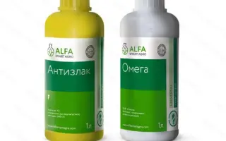 АНТИЗЛАК, КЕ