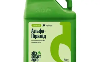 АЛЬФА-ПИРАЛИД