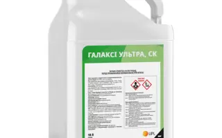 ГАЛАКСІ УЛЬТРА