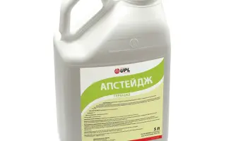 АПСТЕЙДЖ (UPSTAGE)