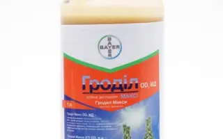 Гроділ Максі 375OD