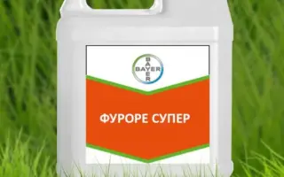 Фуроре СуперEW,ЕВ