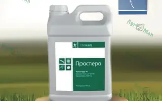 Проспер, СЕ