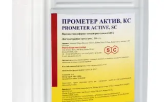 ПРОМЕТЕР АКТИВ