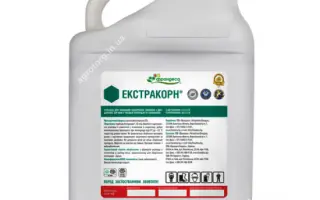 Екстракорн, СЕ