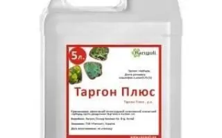 ТАРГОН ПЛЮС