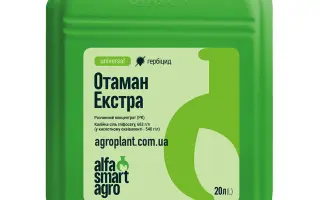 Отаман Екстра