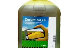 Корум, РК (Імазамокс, 22,4 г/л + бентазон, 480 г/л)