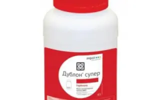 Дублон Супер, ВГ