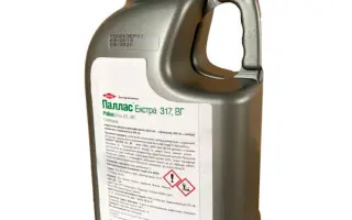 ПАЛЛАС ЕКСТРА 317