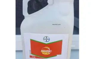 Лаудіс 30 WG ВГ