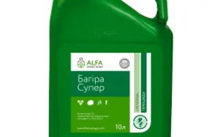 Багіра Супер