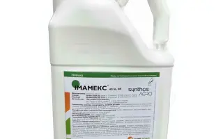 Імамекс 40 SL ВР