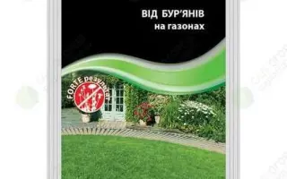 Димбо Форте