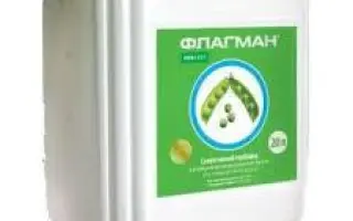 ФЛАГМАН ЕКСТРА