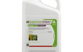 Відблок Плюс