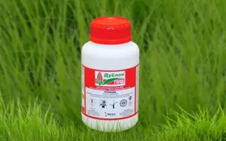 Дублон Голд, ВГ