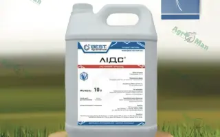 Лідс, МС (нікосульфурон, 60 г/л)