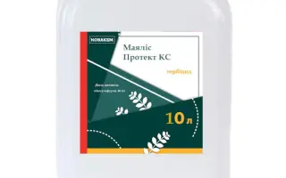 Маяліс Протект