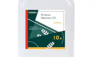 Плеяда Протект